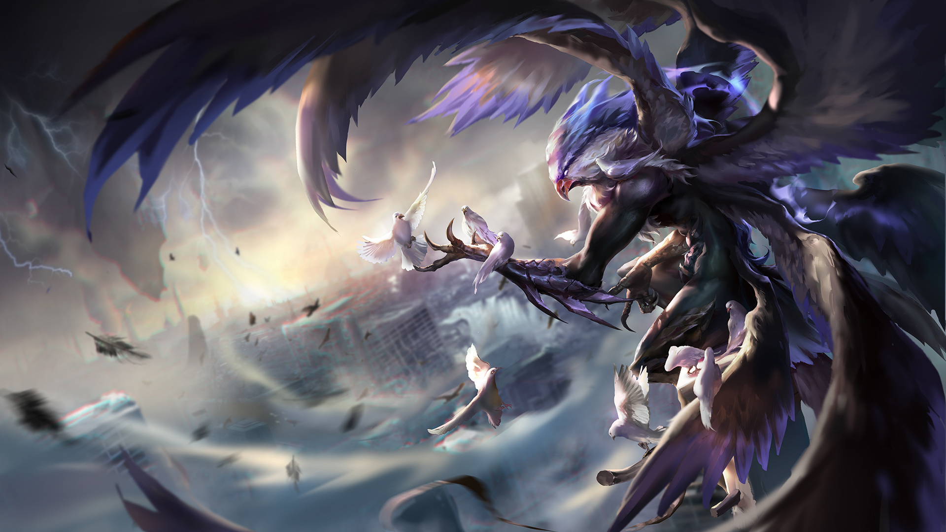 集中放大 集中放大